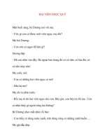 HAI VIÊN NGỌC QUÝ ppsx