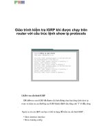 Giáo trình kiểm tra IGRP khi được chạy trên router với cấu trúc lệnh show ip protocols p1 docx