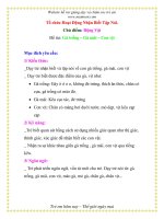 Giáo án chương trình đổi mới Đề tài: Gà trống – Gà mái – Con vịt pptx