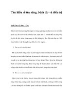 Tìm hiểu về tủy răng, bệnh tủy và điều trị potx