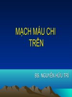 MẠCH MÁU CHI TRÊN pdf