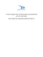 .Dự án Hiện đại hoá Ngân hàng và Kế toán khách hàng pdf