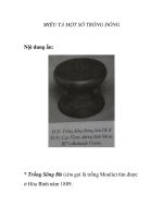 MIÊU TẢ MỘT SỐ TRỐNG ĐỒNG potx