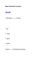 Basic Grammar''''s archiveTest 028 pdf