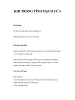 KHÍ TRONG TĨNH MẠCH CỬA pps