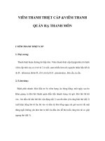 VIÊM THANH THIỆT CẤP &VIÊM THANH QUẢN HẠ THANH MÔN pot