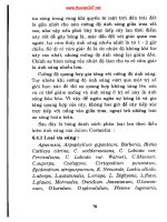 Trồng hoa lan part 4 docx