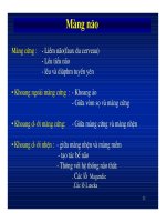 Giải phẫu thần kinh đối chiếu chẩn đoán Hình ảnh part 3 pot