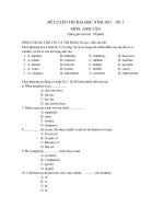 ĐỀ LUYỆN THI ĐẠI HỌC NĂM 2011 - SỐ 1 MÔN: ANH VĂN ppsx