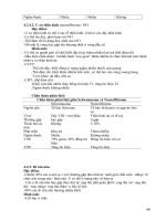 ĐIỆN QUANG THẦN KINH part 7 pdf