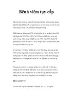 Bệnh viêm tụy cấp pptx