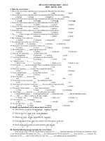 ĐỀ LUYỆN THI ĐẠI HỌC – SỐ 22 MÔN: TIẾNG ANH doc