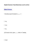 English Grammar Tests-Elementary Level''''s archiveObject Pronoun pot