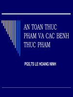 AN TOÀN THỰC PHẨM VÀ CÁC BỆNH THỰC PHẨM docx