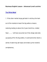 Business English Lesson – Advanced Level''''s archiveThe White Metal ppt