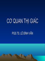 CƠ QUAN THỊ GIÁC potx