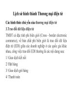 Bài giảng Thương mại điện tử : GIỚI THIỆU MÔN HỌC part 8 pdf