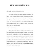 BỆNH NHIỄM TRÙNG RHM ppt