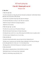 Giáo án giảng dạy khối lớp Lá: Chủ đề: Thành phố của bé pot