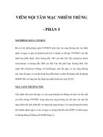 VIÊM NỘI TÂM MẠC NHIỄM TRÙNG - PHẦN 5 pdf