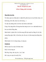 Giáo án chương trình mới: Lớp Chồi Chủ đề: Thế giới cây xanh Đề tài: Những chiếc lá kì diệu pptx