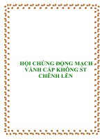 HỘI CHỨNG ĐỘNG MẠCH VÀNH CẤP KHÔNG ST CHÊNH LÊN pdf