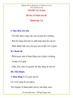 Giáo án chương trình mới: Lớp lá Chủ Đề: Cô và bạn docx