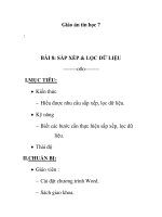 Giáo án tin học 7 - BÀI 8: SẮP XẾP & LỌC DỮ LIỆU pot