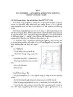 GIÁO TRÌNH THÍ NGHIỆM GỐM SỬ - BÀI 5 XÁC ĐỊNH KHỐI LƯỢNG RIÊNG, KHỐI LƯỢNG THỂ TÍCH, ĐỘ XỐP VÀ ĐỘ HÚT NƯỚC doc