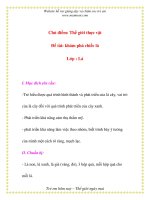 Giáo án chương trình mới: Lớp lá Đề tài: khám phá chiếc lá pot