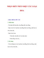 NHẬN BIẾT PHÂN BIỆT CÁC LOẠI HOA docx