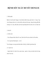 BỆNH SỐT XUẤT HUYẾT DENGUE ppt