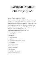 CÁC BỆNH LÝ KHÁC CỦA THỰC QUẢN pptx
