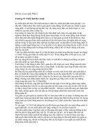 Nhớ lại và suy nghĩ - Chương 19: Chiến dịch Bec-Lanh Là chiến dịch kết thúc potx