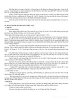 Dinh dưỡng và an toàn thực phẩm part 3 ppsx