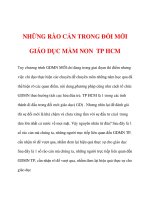 NHỮNG RÀO CẢN TRONG ĐỔI MỚI GIÁO DỤC MẦM NON TP HCM potx