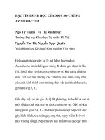 BÁO CÁO KHOA HỌC: 