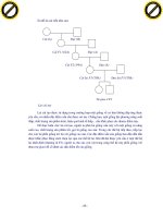 Giáo trình phân tích quá trình biến các động vật hoang dã thành vật nuôi là thuần hóa theo thay đổi hình thái p4 pps