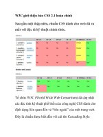 W3C giới thiệu bản CSS 2.1 hoàn chỉnh docx