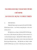NGÀNH GIÁO DỤC MẦM NON TP HỒ CHÍ MINH 30 NĂM XÂY DỰNG VÀ PHÁT TRIỂN pptx