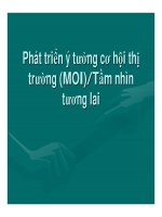 Marketing nông nghiệp - Phát triển ý tưởng cơ hội thị trường (MOI)/Tầm nhìn tương lai potx