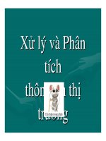 Marketing nông nghiệp - Xử lý và Phân tích thông tin thị trường potx