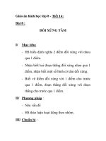 Giáo án hình học lớp 8 - Tiết 14: ĐỐI XỨNG TÂM potx