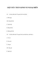 LIỆT DÂY THẦN KINH VII NGOẠI BIÊN pot