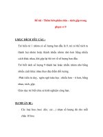 Giáo án chương trình đổi mới Đề tài : Thêm bớt-phân chia – tách gộp trong phạm vi 9 pot