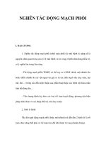 NGHẼN TẮC ĐỘNG MẠCH PHỔI potx