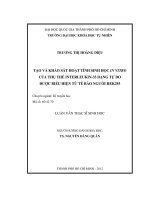 Tạo và khảo sát hoạt tính sinh học in vitro của thụ thể interleukin 33 dạng tự do được biểu hiện từ tế bào người hek293