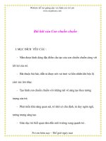 Giáo án chương trình mới: Lớp lá Bài hát của Con chuồn chuồn ppsx