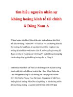 tìm hiểu nguyên nhân sự khủng hoảng kinh tế tài chính ở Đông Nam Á_1 pot