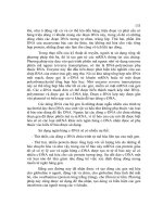 CƠ SỞ DI TRUYỀN CHỌN GIỐNG ĐỘNG VẬT part 7 doc